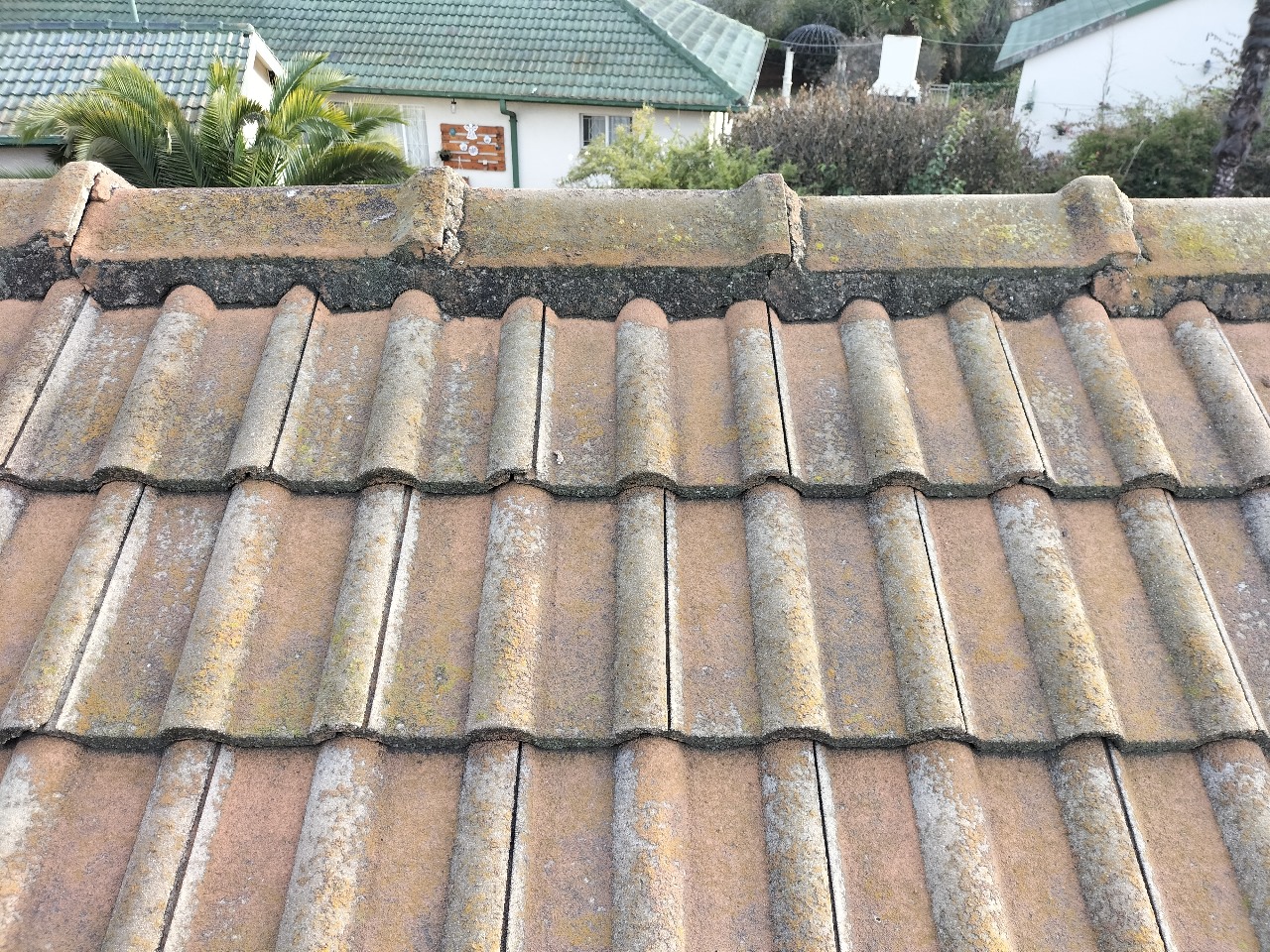 WhatsApp Image 2025-08-10 at 10.10.04