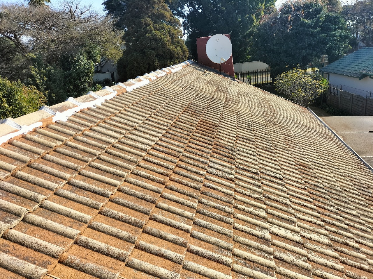 WhatsApp Image 2025-08-10 at 10.10.33