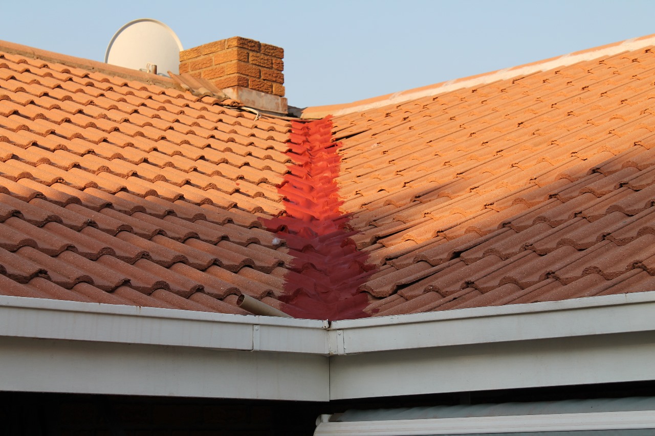 WhatsApp Image 2025-08-10 at 10.16.36