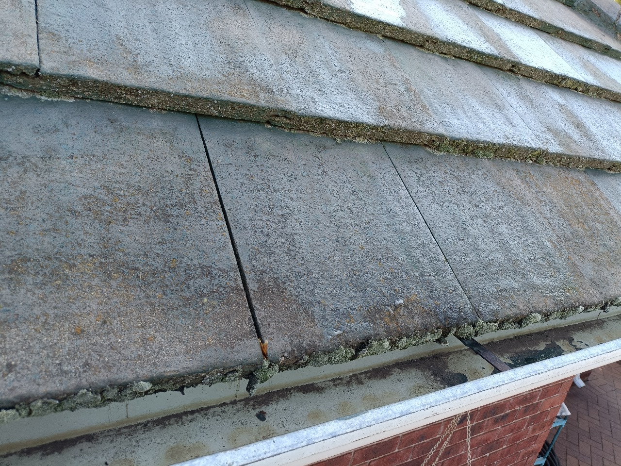 WhatsApp Image 2025-08-10 at 10.19.44