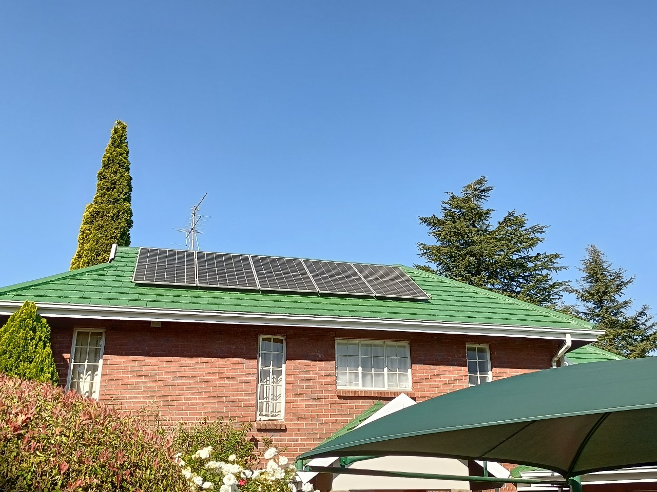 WhatsApp Image 2025-08-10 at 10.20.42