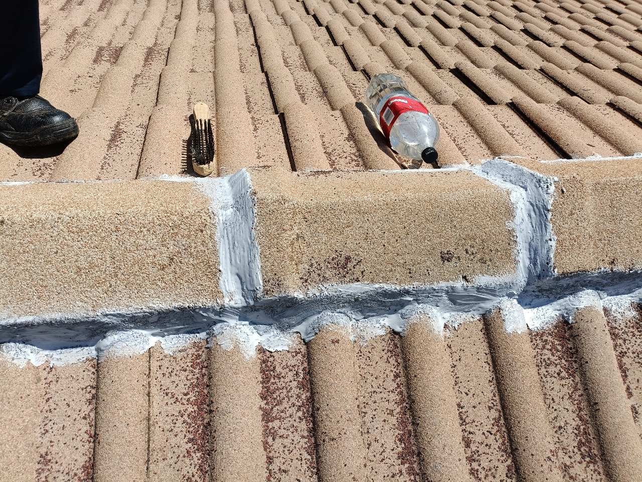 WhatsApp Image 2025-08-10 at 10.25.19