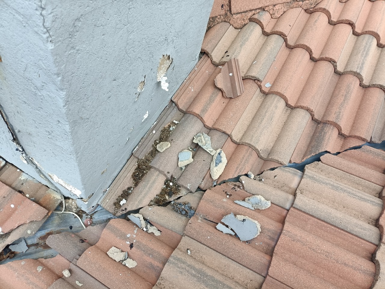 WhatsApp Image 2025-08-10 at 10.27.59