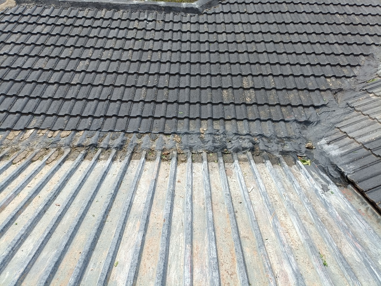 WhatsApp Image 2025-08-10 at 10.29.39