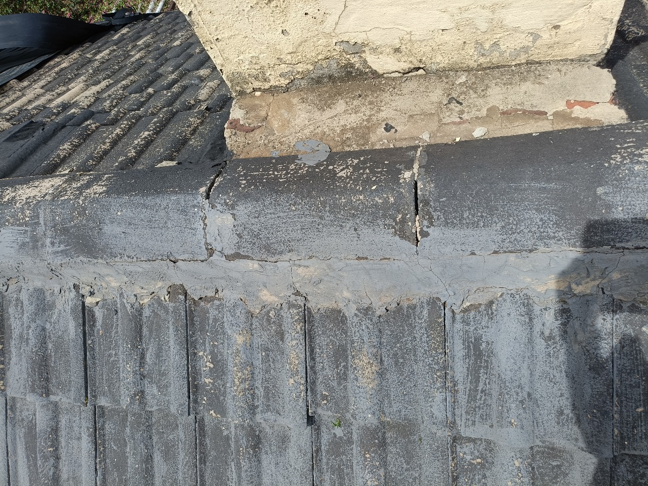 WhatsApp Image 2025-08-10 at 10.29.47