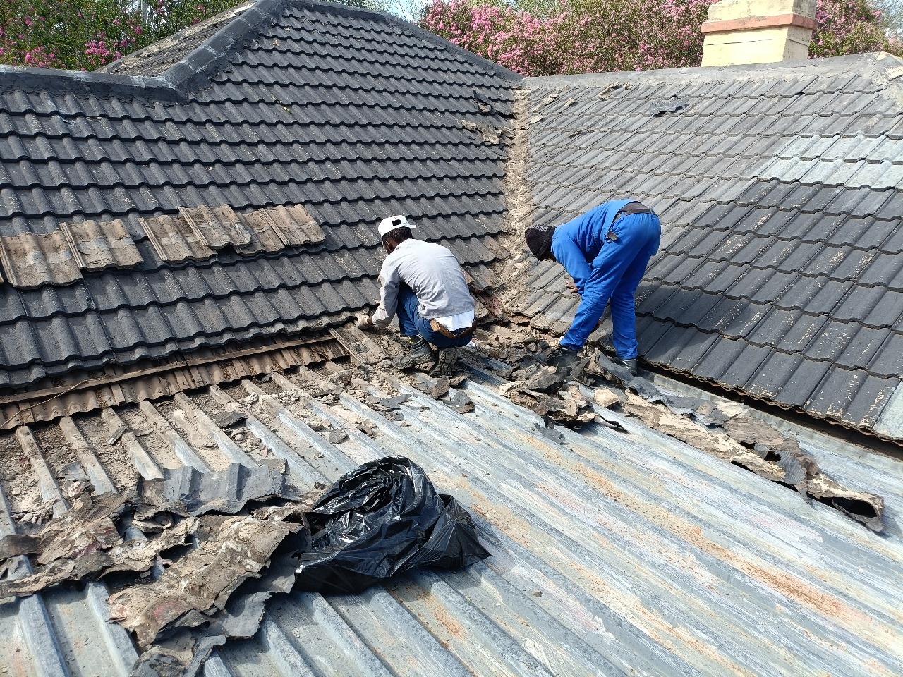 WhatsApp Image 2025-08-10 at 10.29.57