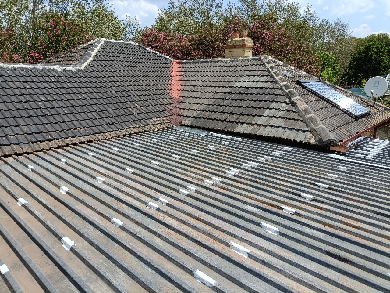 WhatsApp Image 2025-08-10 at 10.30.30