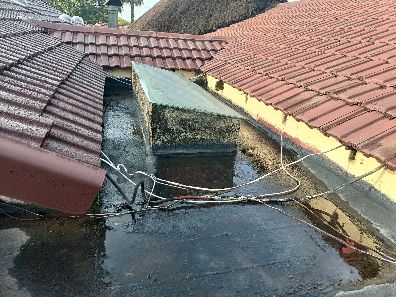 WhatsApp Image 2025-08-10 at 10.31.51