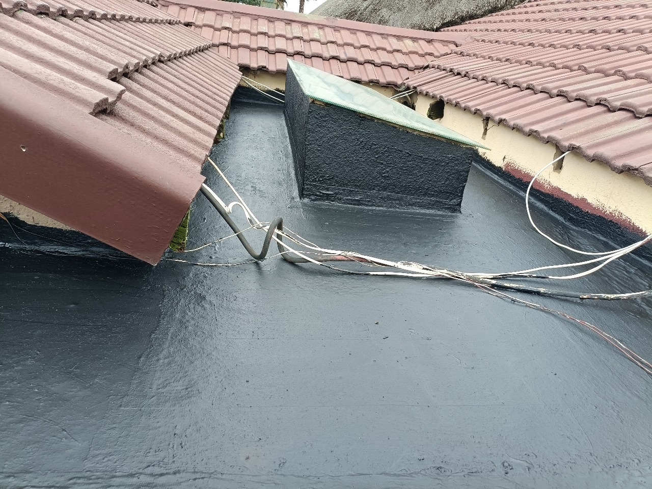 WhatsApp Image 2025-08-10 at 10.31.58