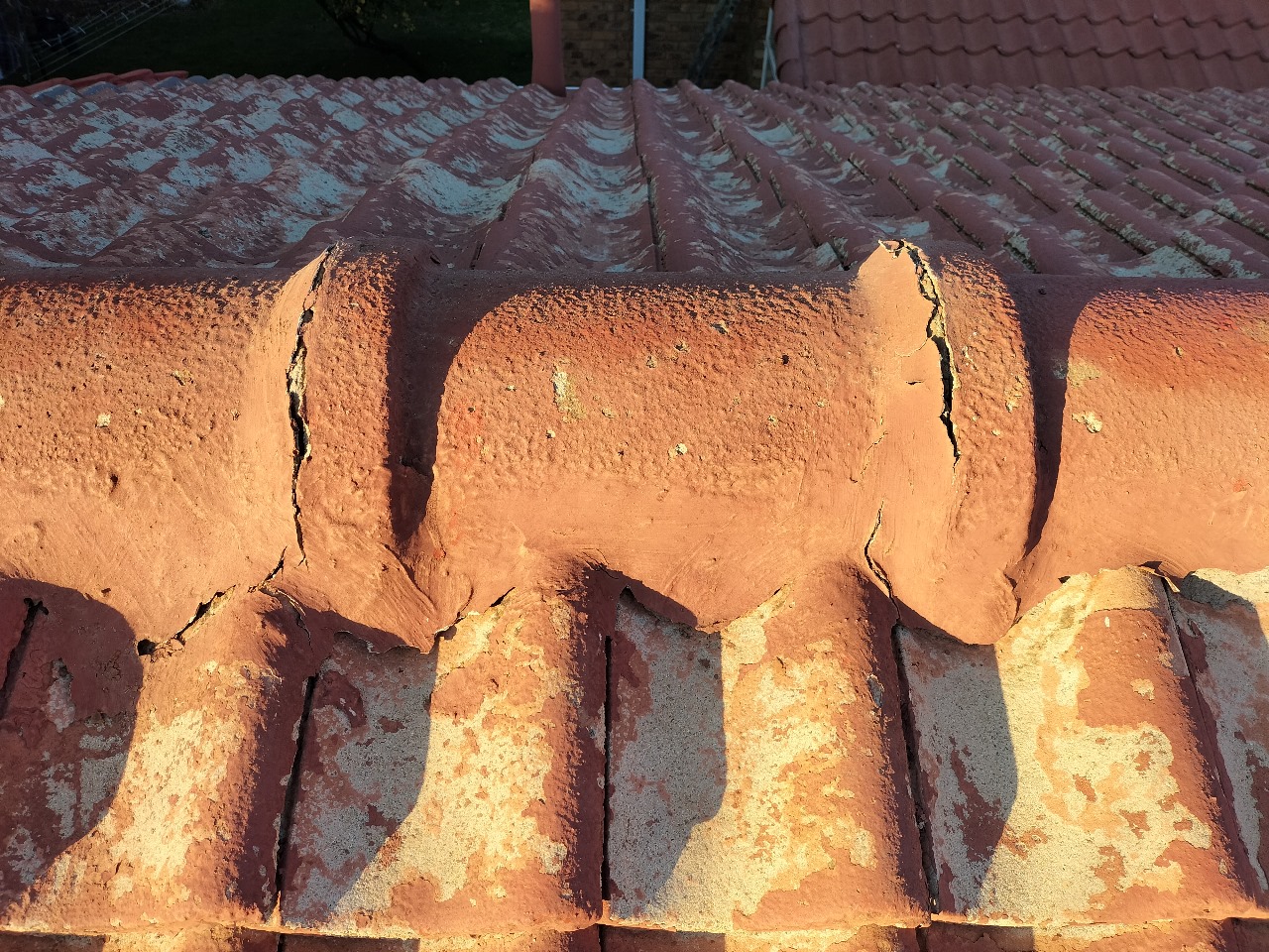 WhatsApp Image 2025-08-10 at 10.36.20