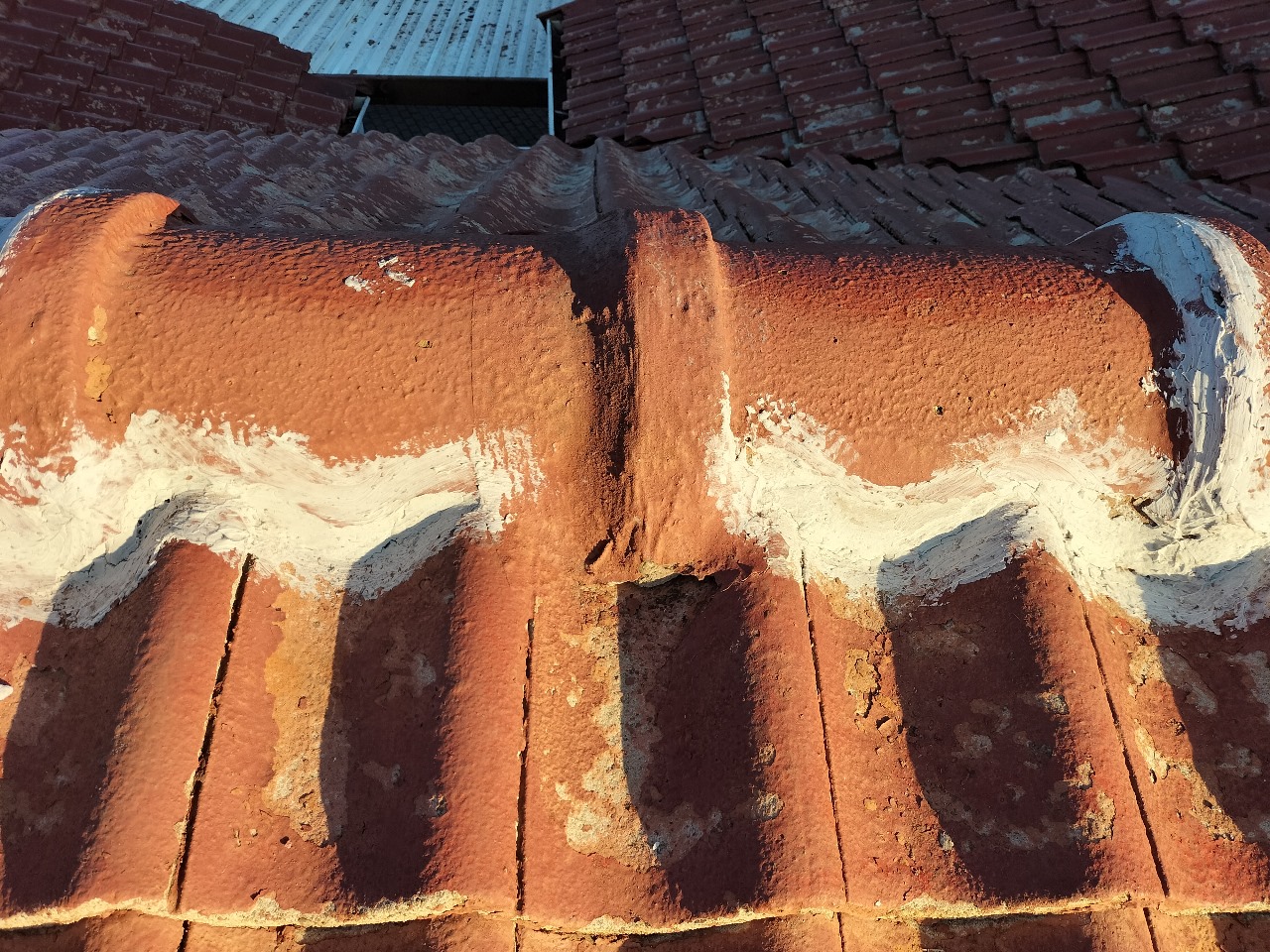 WhatsApp Image 2025-08-10 at 10.36.27