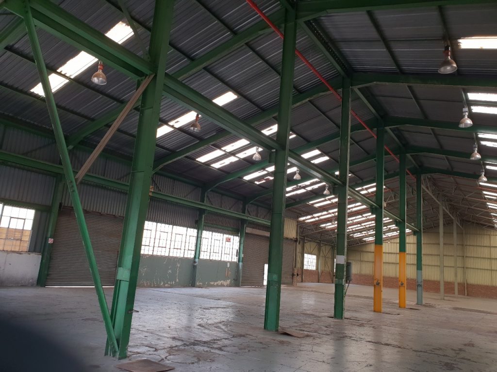 WhatsApp Image 2025-08-11 at 10.57.33