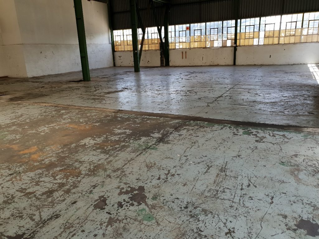 WhatsApp Image 2025-08-11 at 10.57.44