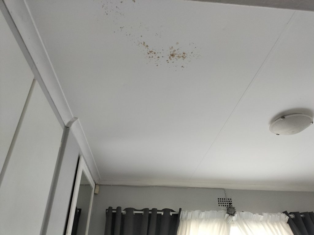 WhatsApp Image 2025-08-11 at 10.59.31