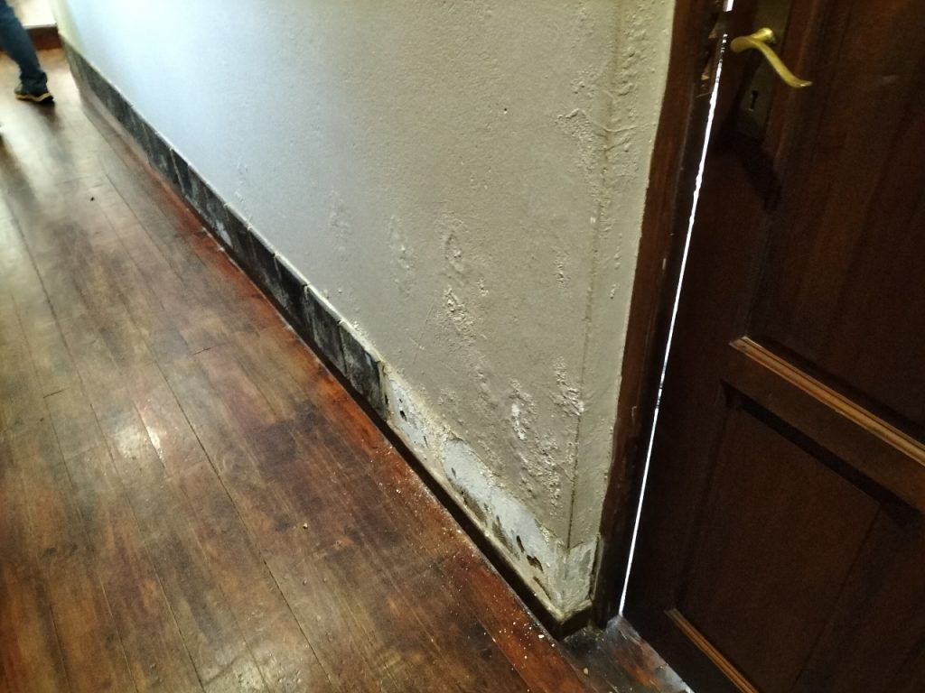 WhatsApp Image 2025-08-11 at 11.00.15