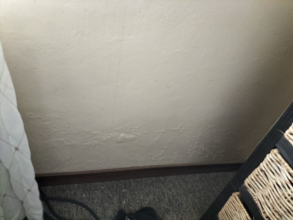 WhatsApp Image 2025-08-11 at 11.00.27