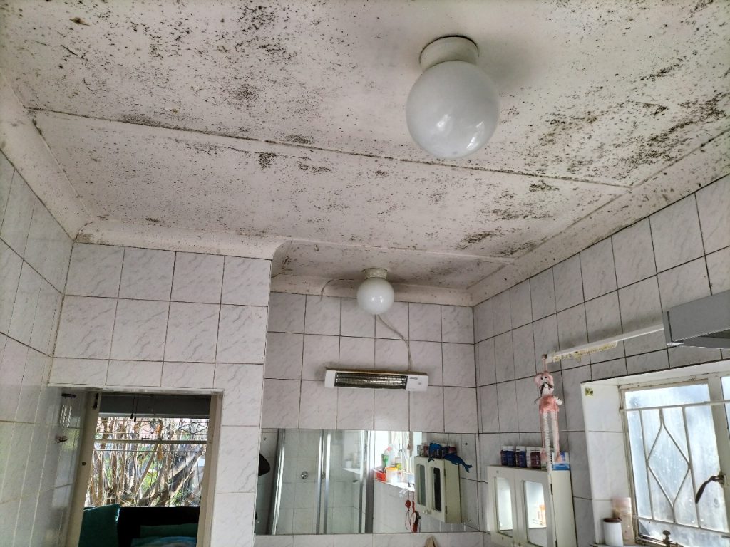 WhatsApp Image 2025-08-11 at 11.00.49